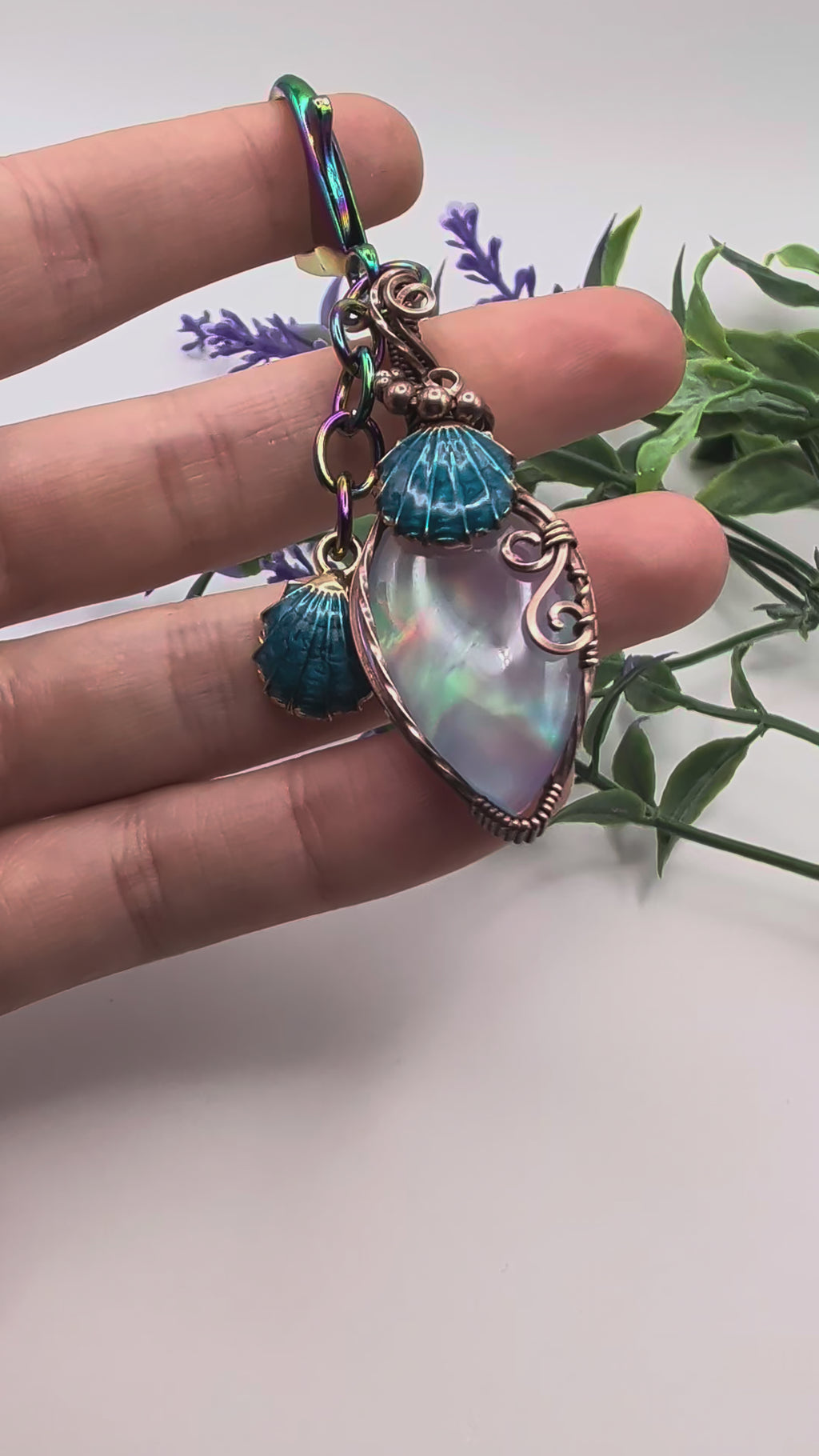 Aurora Seashells