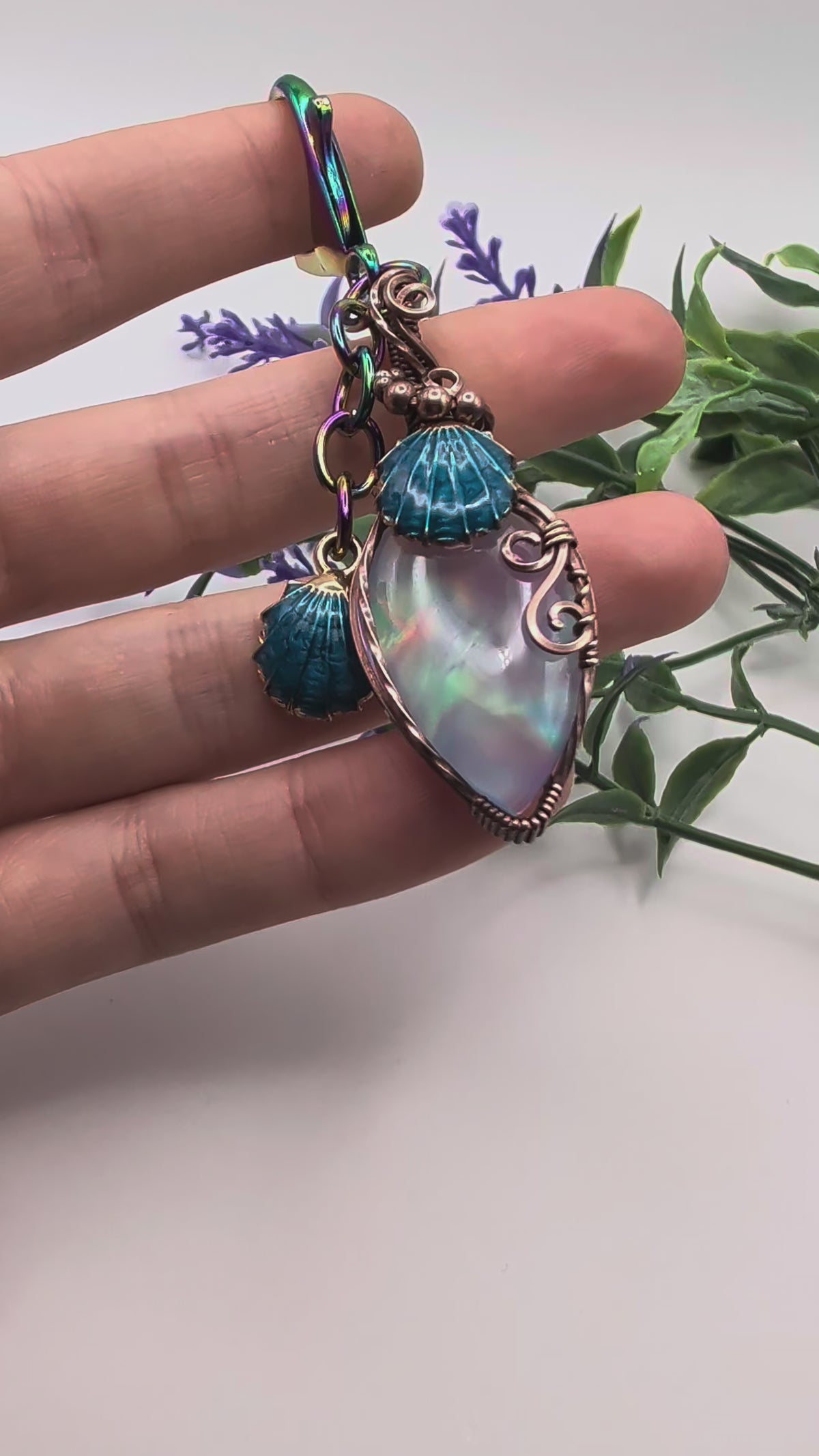 Aurora Seashells