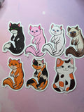 Cat stickers 7 pack